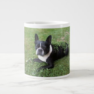 Café Gigante taza del gumbo del terrier de Boston
