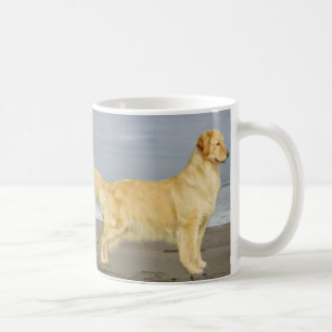 Café Golden retriever en la taza de la playa