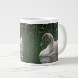 Café Grande Cisne elegante en la taza de agua