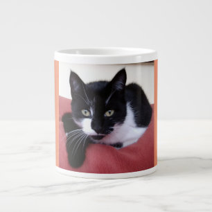 Café Grande Taza enorme de la foto del gato