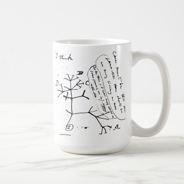 Café La taza de Darwin (Derecha)