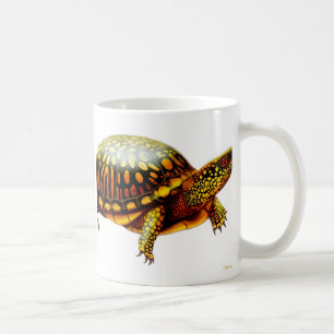 Café La taza de la tortuga de caja