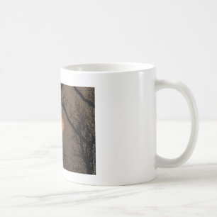 Café La taza de luna