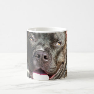 Café La taza de Rocky