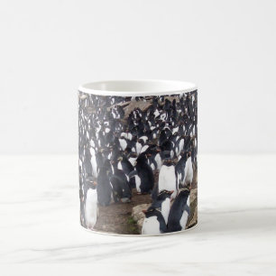 Café La taza del pingüino de Malvinas hace un regalo