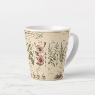 Café Latte Taza de 12 oz de hierbas botánicas –
