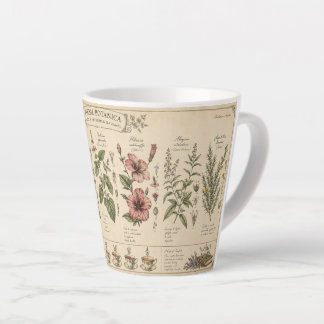 Café Latte Taza de hierbas botánicas –