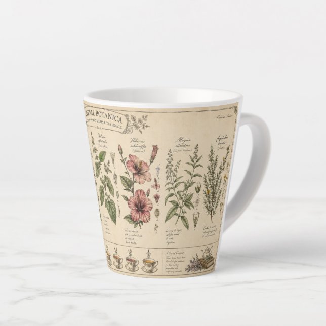 Café Latte Taza de hierbas botánicas – (Ángulo derecho)