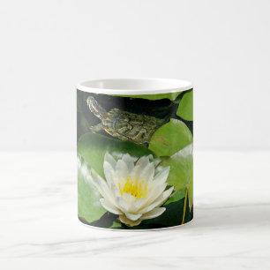 Café Lirio de agua y taza de la tortuga
