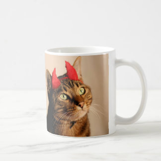 Café Lolcat del diablo de Mooki - taza