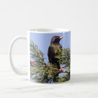 Café Mirando con atención una taza de Personalizado de 