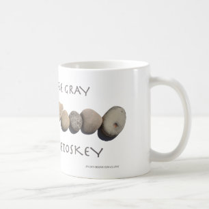 Café "Muchos son grises pocos son taza de cerámica de