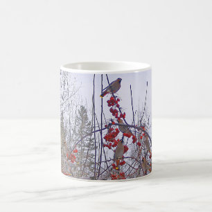 Café Multitud de la taza de los Waxwings de cedro