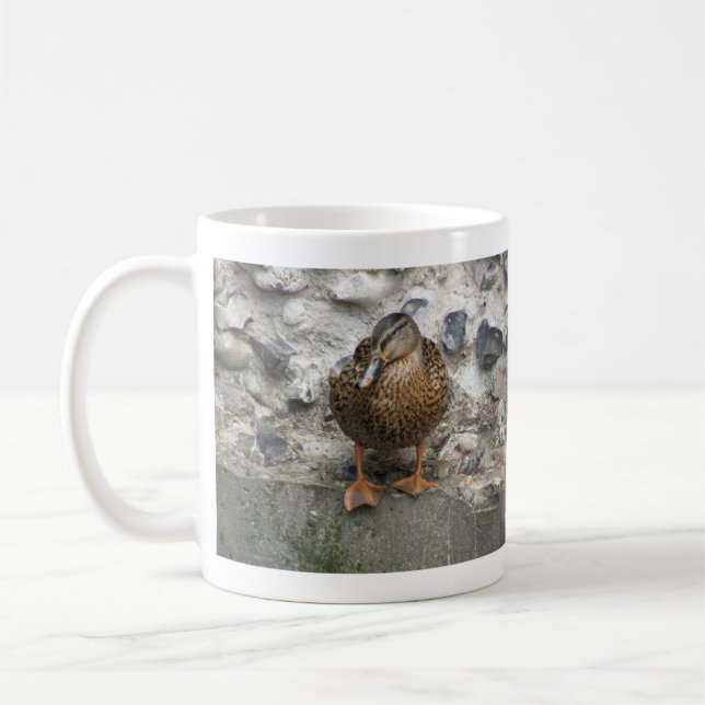 Café Pato en una taza de pared (Izquierda)