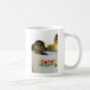 Café Pato en una taza de té