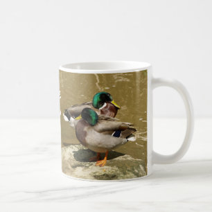 Café Patos del pato silvestre, taza de I LoveDaddy