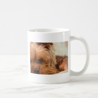 Café perrito del yorkie de la taza de té