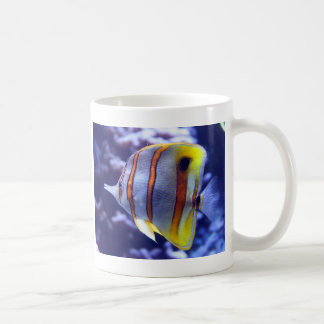 CAFÉ PESCADOR LA TAZA DE LOS PESCADOS