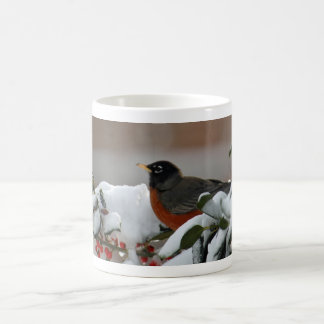 Café Petirrojo en taza de la nieve