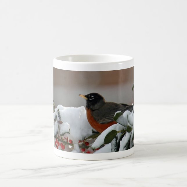 Café Petirrojo en taza de la nieve (Centro)