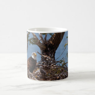 Café Polluelos de Eagle calvo - taza