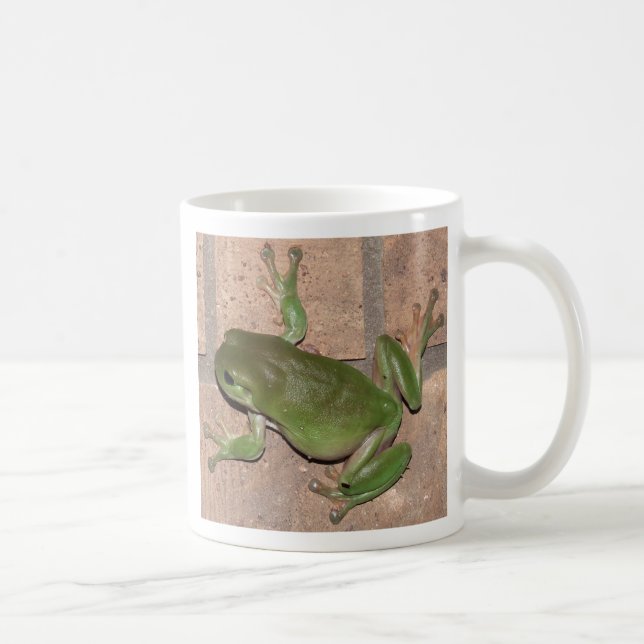 Café RANA en la taza de la pared (Derecha)