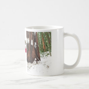 Café Secoya en la taza de la nieve