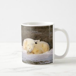 Café Serie de la taza del oso polar
