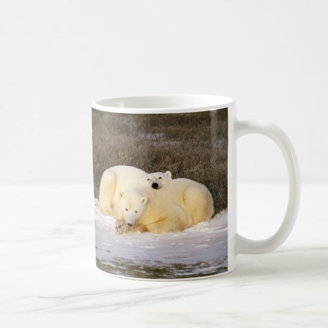 Café Serie de la taza del oso polar (Derecha)
