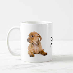 Café Taza alemana #2 de la fan del Pinscher