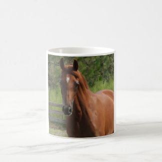 Café Taza árabe del caballo de la castaña