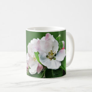 Café Taza Árbol de Manzana en Flor Hola Primavera