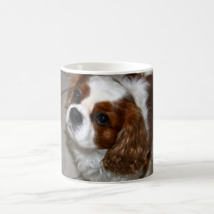 Café Taza arrogante del perro de aguas de rey Charles