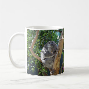 Café Taza australiana de la koala