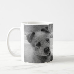CAFÉ TAZA AZUL DE HEELER