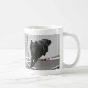 Café Taza belga de la agilidad del perro pastor