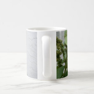 Café Taza blanca clásica de la espinaca salvaje