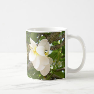 Café Taza blanca de Cofee del Plumeria
