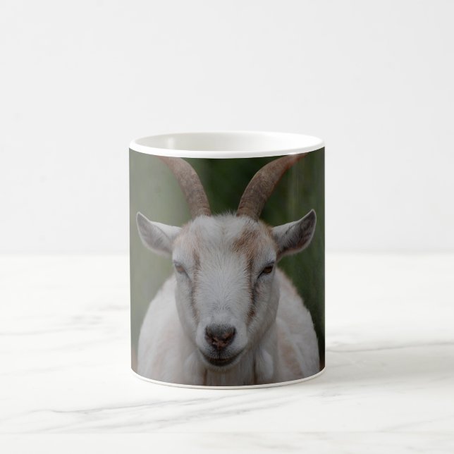 Café Taza blanca de la cabra (Centro)