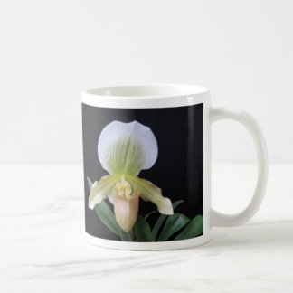 Café Taza blanca de la orquídea de deslizador