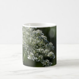 Café Taza blanca de la taza del Wildflower del cordón