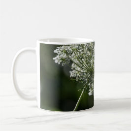 Café Taza blanca de la taza del Wildflower del cordón