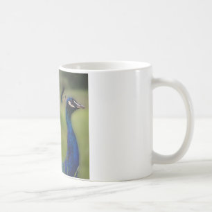 Café Taza Clásica Blanca con Foto de Pavo Real