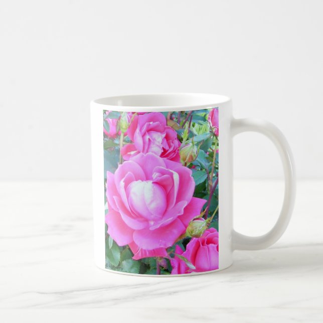 Café Taza color de rosa Knockout (Derecha)