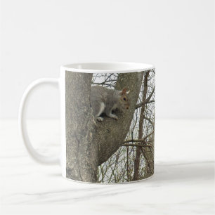 Café Taza con foto de ardilla