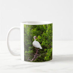 Café Taza con foto de ave Ibis Blanco