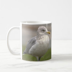 Café Taza con foto de gaviota