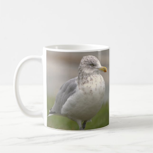 Café Taza con foto de gaviota (Izquierda)