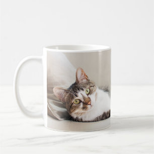 Café Taza con foto de un bonito amigo felino