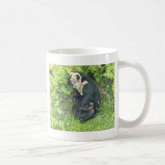 Café Taza con gafas del oso, colección de los animales